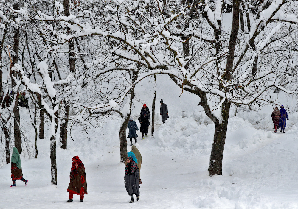 People walk through a snow-covered orchard to a attend funeral in Dalwan village in central Kashmiru00e2u20acu2122s Budgam district January 14, 2020. u00e2u20acu201d Reuters picnnn