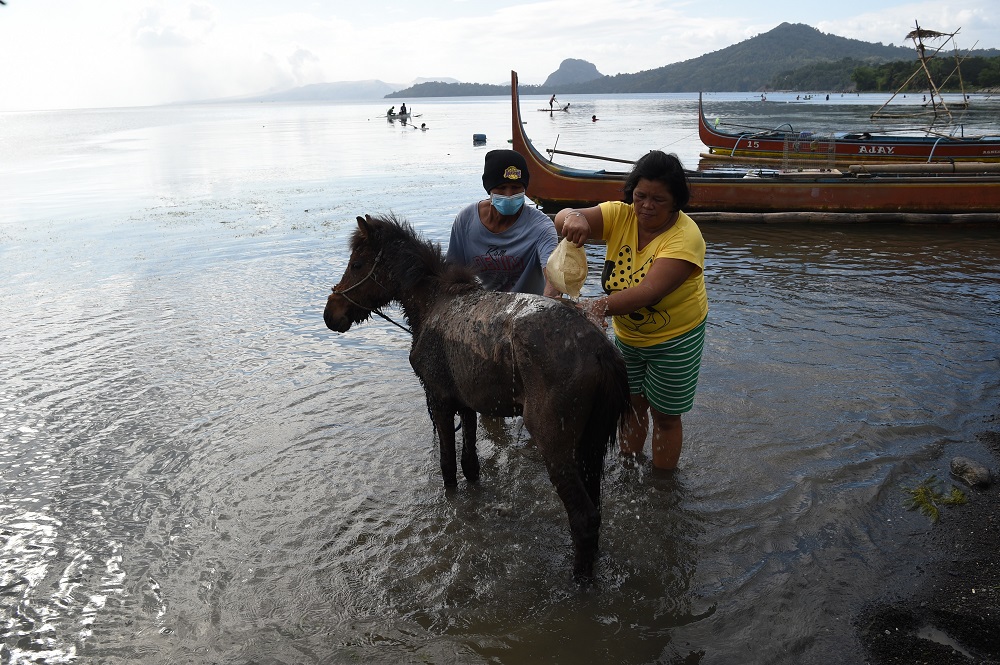 Residents living at the foot of Taal volcano wash their volcanic ash-covered horses after rescuing them from their homes and transporting them to Balete town, Batangas province south of Manila January 14, 2020. u00e2u20acu201d AFP pic