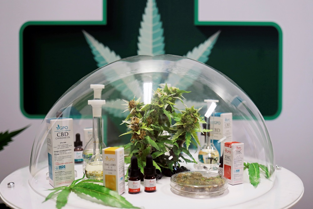 Cannabis oil products made in Thailand are seen on display during the launch of the first official medical cannabis clinic to provide free treatment for the first batch of patients taking part in a monitoring research programme in Bangkok January 6, 2020. — Reuters pic