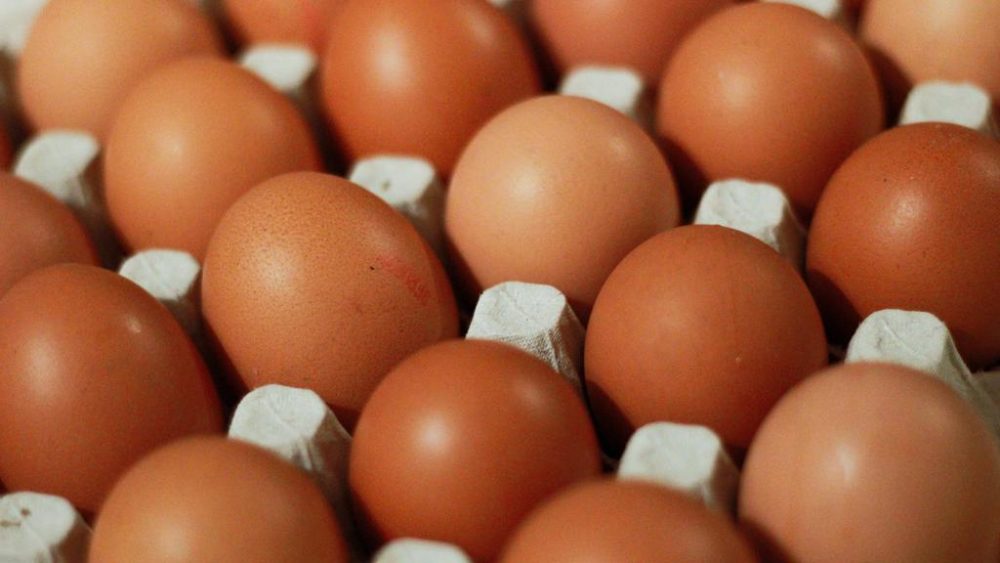In December 2019, the Singapore Food Agency suspended two farms in Ukraine due to detections of drug residues fluoroquinolones and salinomycin in their eggs. u00e2u20acu2022 DDP/Unsplash pic via TODAY