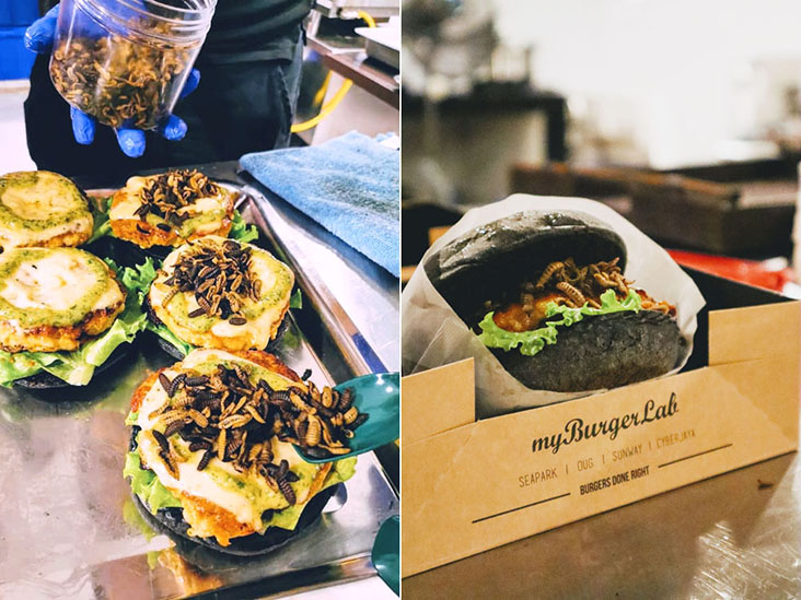 The collaboration between myBurgerLab and Hermy larvae snacks at the Startup Weekend Food KL was a hit!