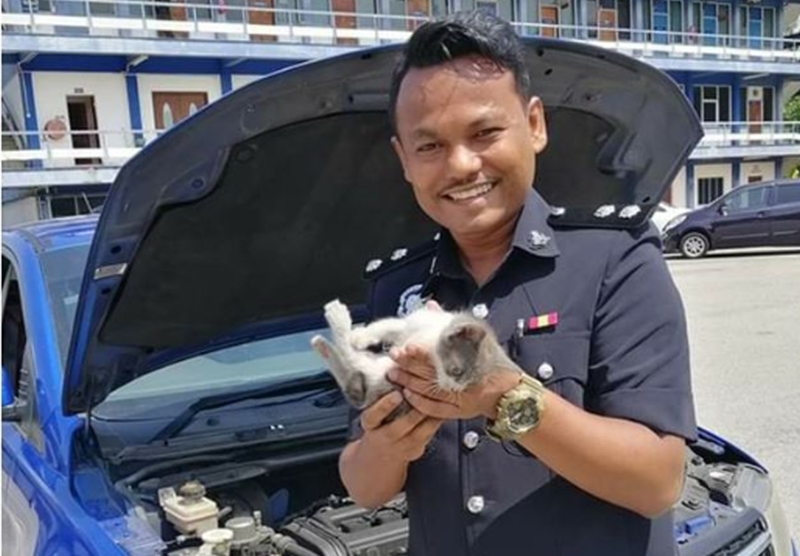 Inspector Syukri holds up 'Suprima' the kitten, that was saved after being found trapped under the hood of his car. u00e2u20acu201d Picture via Facebook/@PolisDirajaMalaysiannn