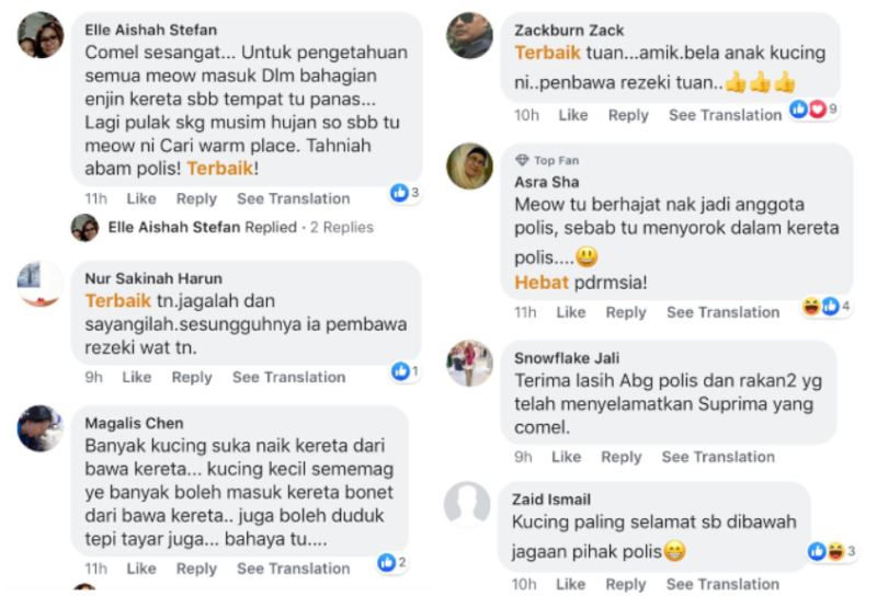 Social media users joked that the kitten was trying to infiltrate the police station. — Screengrab via Facebook/@PolisDirajaMalaysia