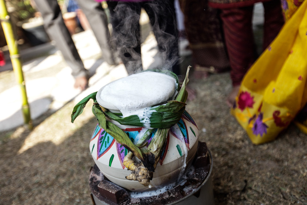 Women cook u00e2u20acu02dcSarkkarai Ponggalu00e2u20acu2122 on an open fire by boiling rice in milk during the Ponggal celebration in George Town January 15, 2020. u00e2u20acu201d Picture by Sayuti Zainudin
