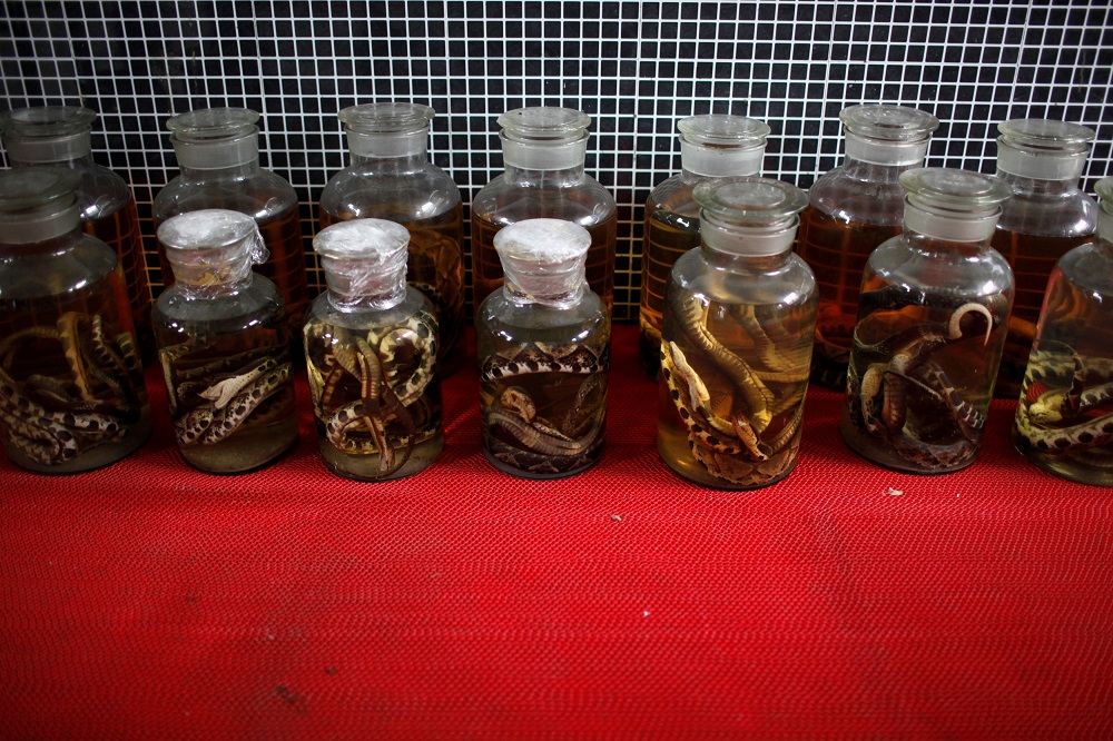 Dead snakes are preserved in jars at a snake farm in Zisiqiao village, Zhejiang province, China February 22, 2013. u00e2u20acu201d Reuters pic 