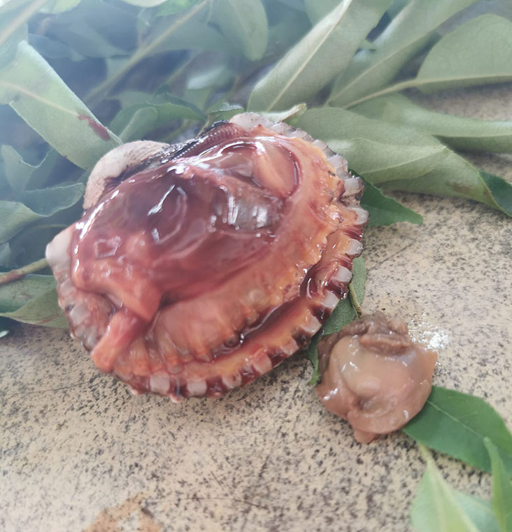 You can get the larger-sized cockles for RM5 while the normal-sized ones are served with your curry mee