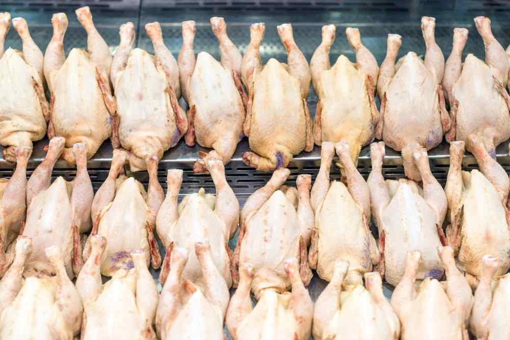 Au Yong Seh Enn earned about S$50,000 to S$60,000 from selling stocks of raw or frozen chicken he stole from his company. u00e2u20acu2022 TODAY pic