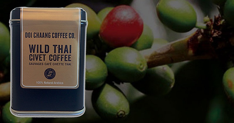 A Doi Chaang Coffee product. u00e2u20acu201d Image from doichaangcoffee.com