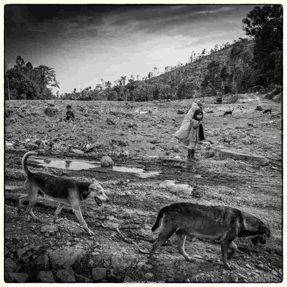 The scene at the landfill is a hint of much larger and complex issues faced by the Orang Asli, particularly the Jakun tribe in Pahang. ― Picture by SC Shekar