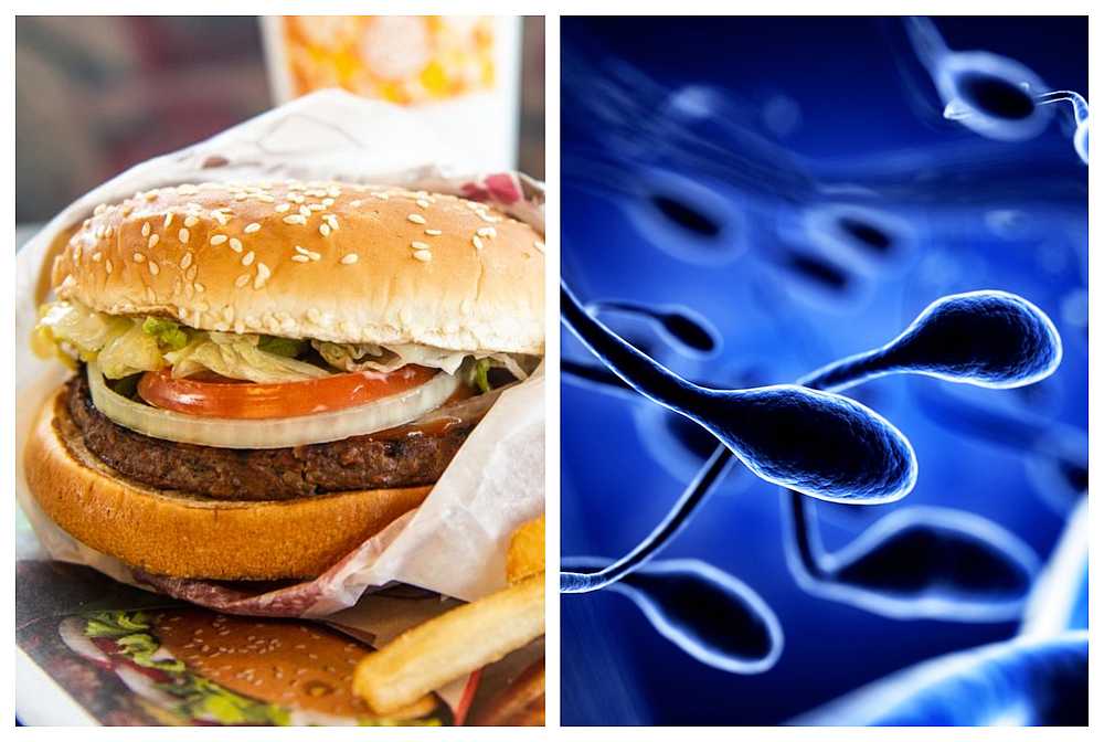 A new study suggests that men who consume junk food regularly are more likely to have low sperm quality. u00e2u20acu201c AFP pic