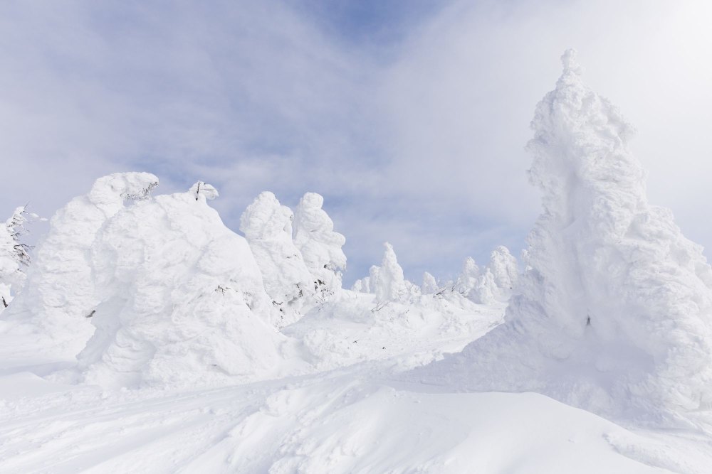 The mammoth u00e2u20acu02dcjuhyou00e2u20acu2122 Snow Monsters is just one of many attractions that await travellers in Tohoku during winter. u00e2u20acu2022 Picture courtesy of JNTO