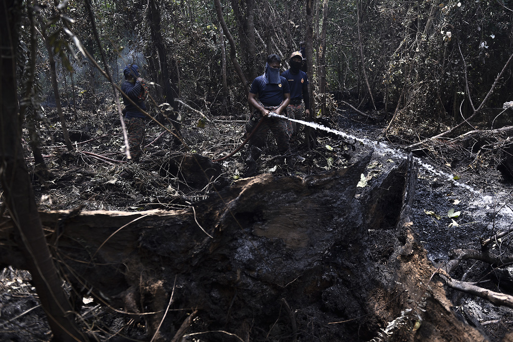 Firefighters battle with peat land fire at Kuala Langat March 3, 2020. — Picture by Miera Zulyana