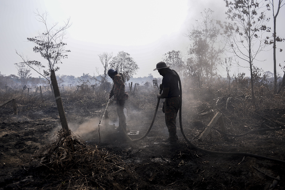 Firefighters battle with peat land fire at Kuala Langat March 3, 2020. u00e2u20acu201d Picture by Miera Zulyana