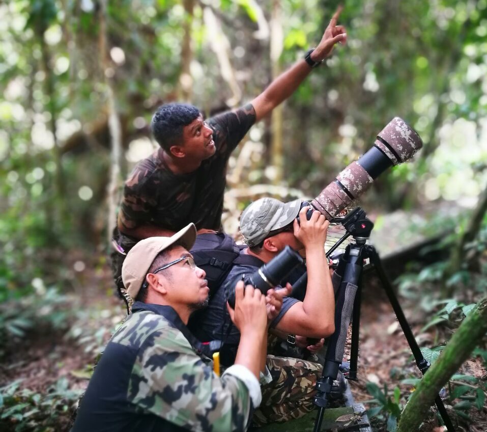 Not just for the birds: Avid birdwatcher and environmentalist soldiers ...