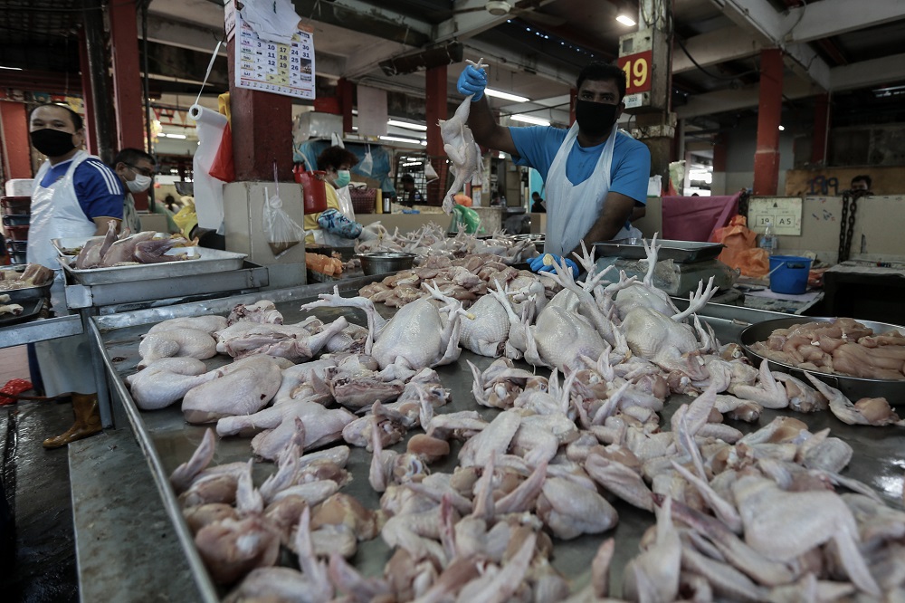 Chicken traders are pictured at a wet market in Petaling Jaya March 25,2020.  u00e2u20acu201d Picture by Ahmad Zamzahuri 