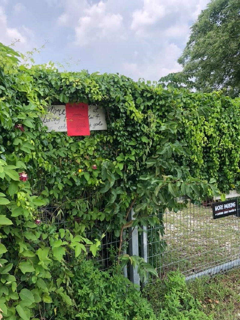 The community garden which donates its produce to soup kitchens and orphanages received an eviction notice yesterday. u00e2u20acu201d Picture from Facebook/Kebun-Kebun Bangsar