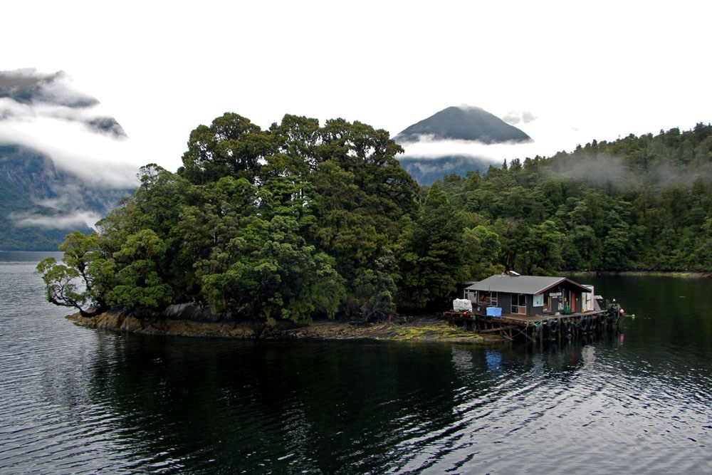 All we need is a roof over our heads in New Zealand during the four weeks of level 4 lockdown. — Picture by CK Lim