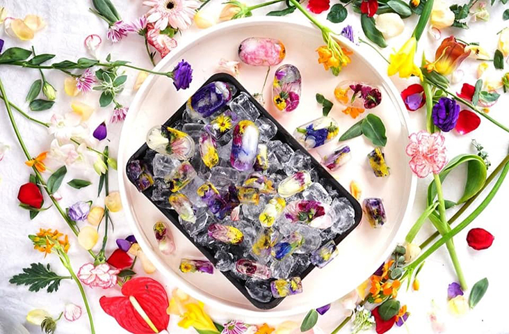 Edible flowers can jazz up your drinks when you freeze them as ice cubes.