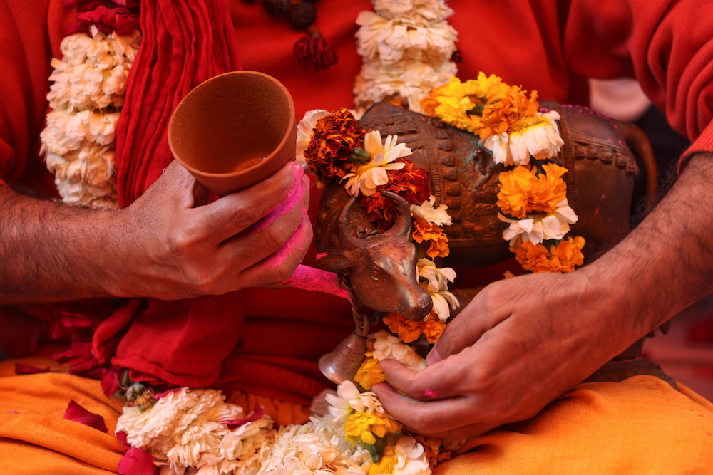 A member of All India Hindu Mahasabha holds an idol of a cow after drinking cow urine during a gaumutra (cow urine) party, which according to them helps in warding off coronavirus disease (Covid-19), in New Delhi, India March 14, 2020. u00e2u20acu201d Reuters picnn
