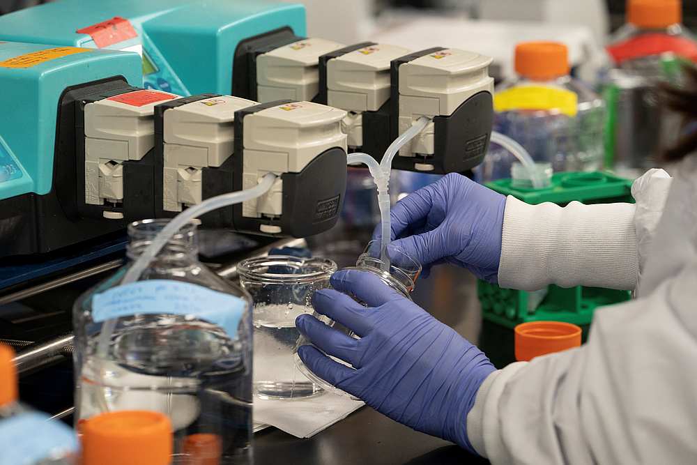 Research on a vaccine for Covid-19 at the laboratories of  Arcturus Therapeutics in San Diego, California, March 17, 2020. Arcturus is a partner of the Singapore reserach effort. u00e2u20acu201d Reuters pic