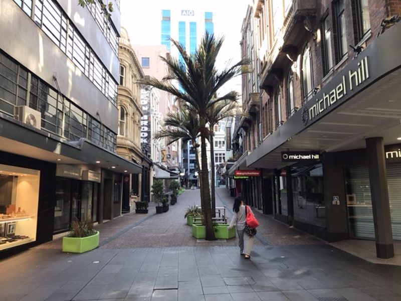 Getting groceries done and heading home to shelter in place. — Picture by CK Lim