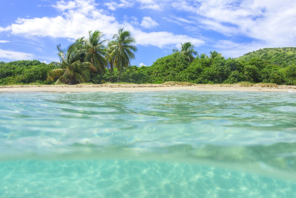 Sandy beaches occupy more than a third of the global coastline, but new construction, sea level rise, storm surge from hurricanes or typhoons, and reduced sediment from dammed rivers are all eroding these shorelines. u00e2u20acu201d AFP pic