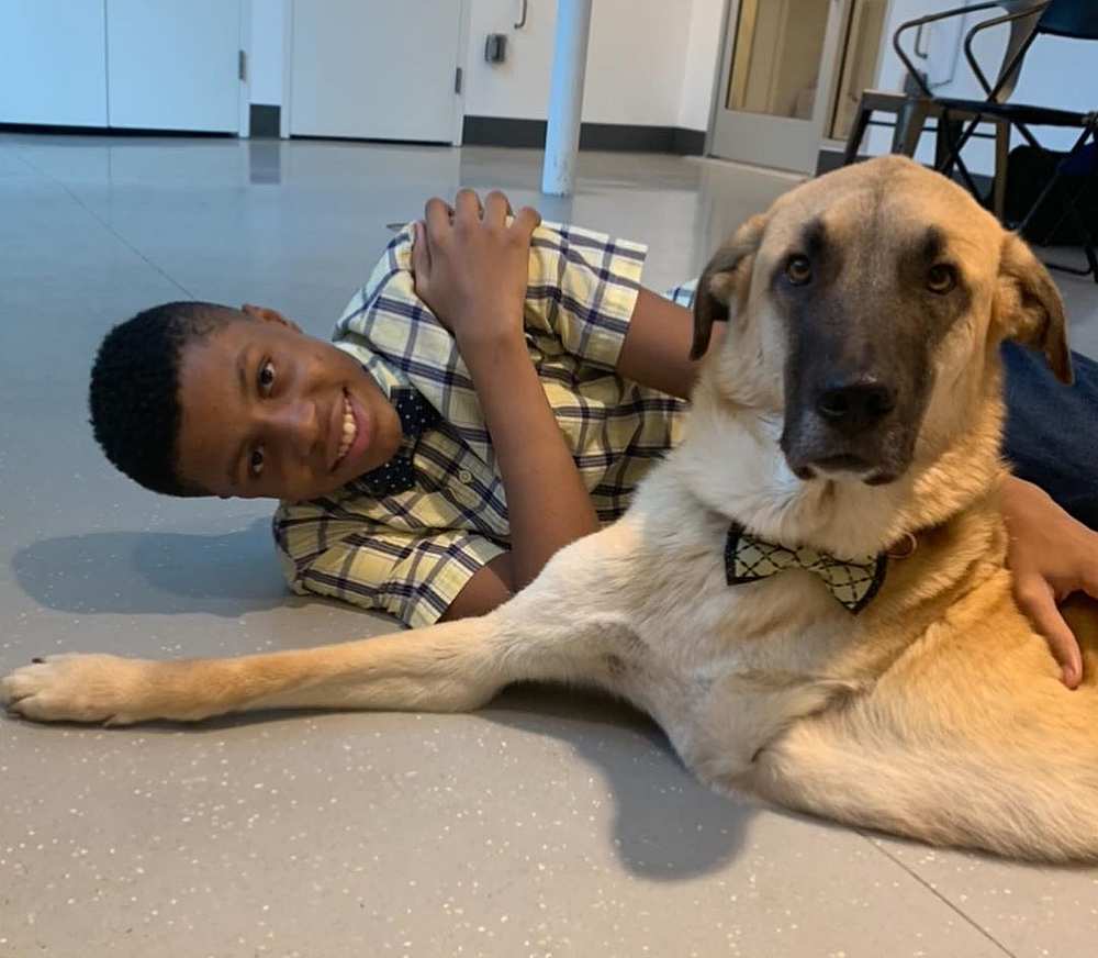 New Jersey teenager Darius Brown Jr helps to get dogs and cats at shelters adopted with his homemade bow ties. u00e2u20acu201d Picture via Instagram/sirdariusbrown