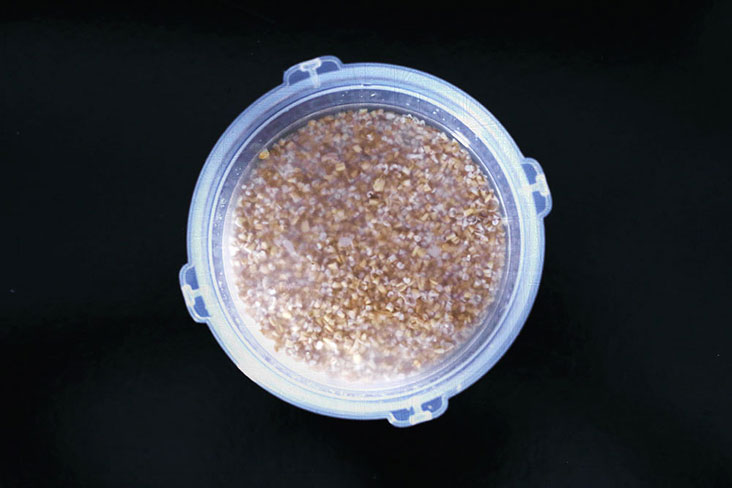 All you need is to soak the steel cut oats overnight in some liquid and a pinch of salt