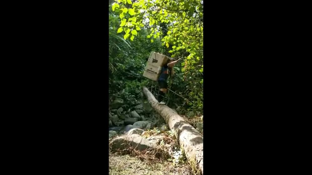Harry Yanto Bikal balancing himself on the tree branch, with fridge on his bank as he goes to school. Screengrab via Facebook/Hajah Maznah Abd Ghani