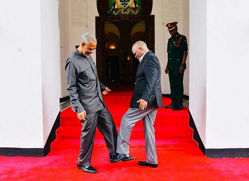 The Wuhan Shake has been adopted by many, with Tanzanian President John Magufuli taking on the move with opposition politician Maalim Seif Sharif Hamad at the State House. u00e2u20acu201c Twitter/eolander