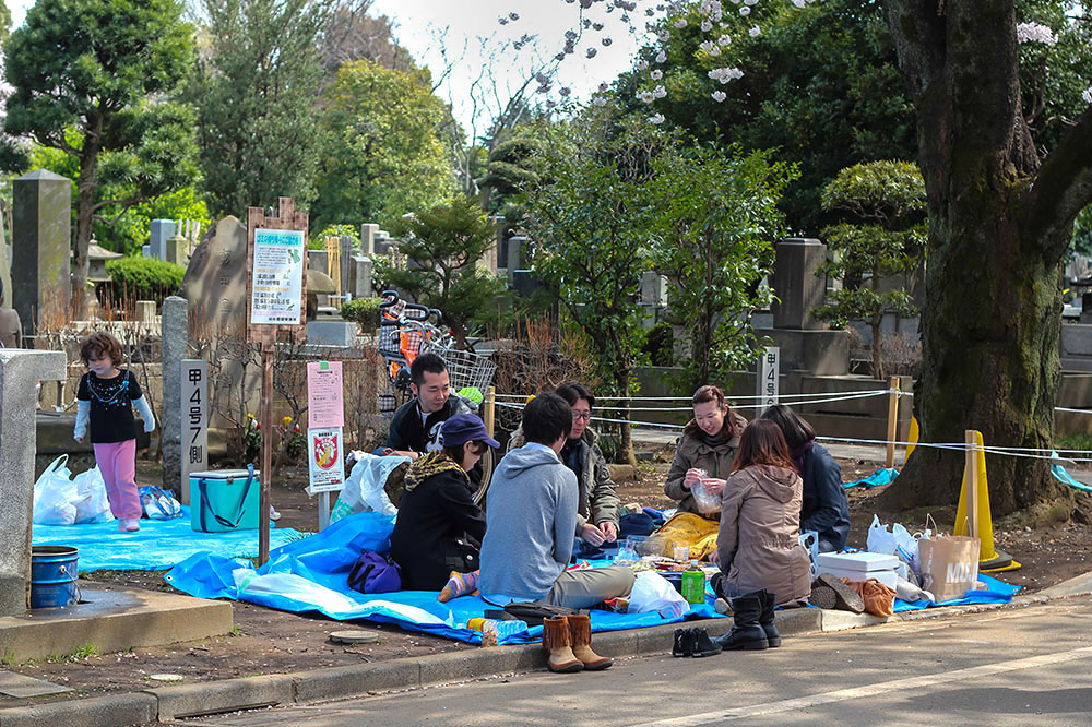 Locals commemorate springtime and grave cleaning with a 'hanami' picnic.