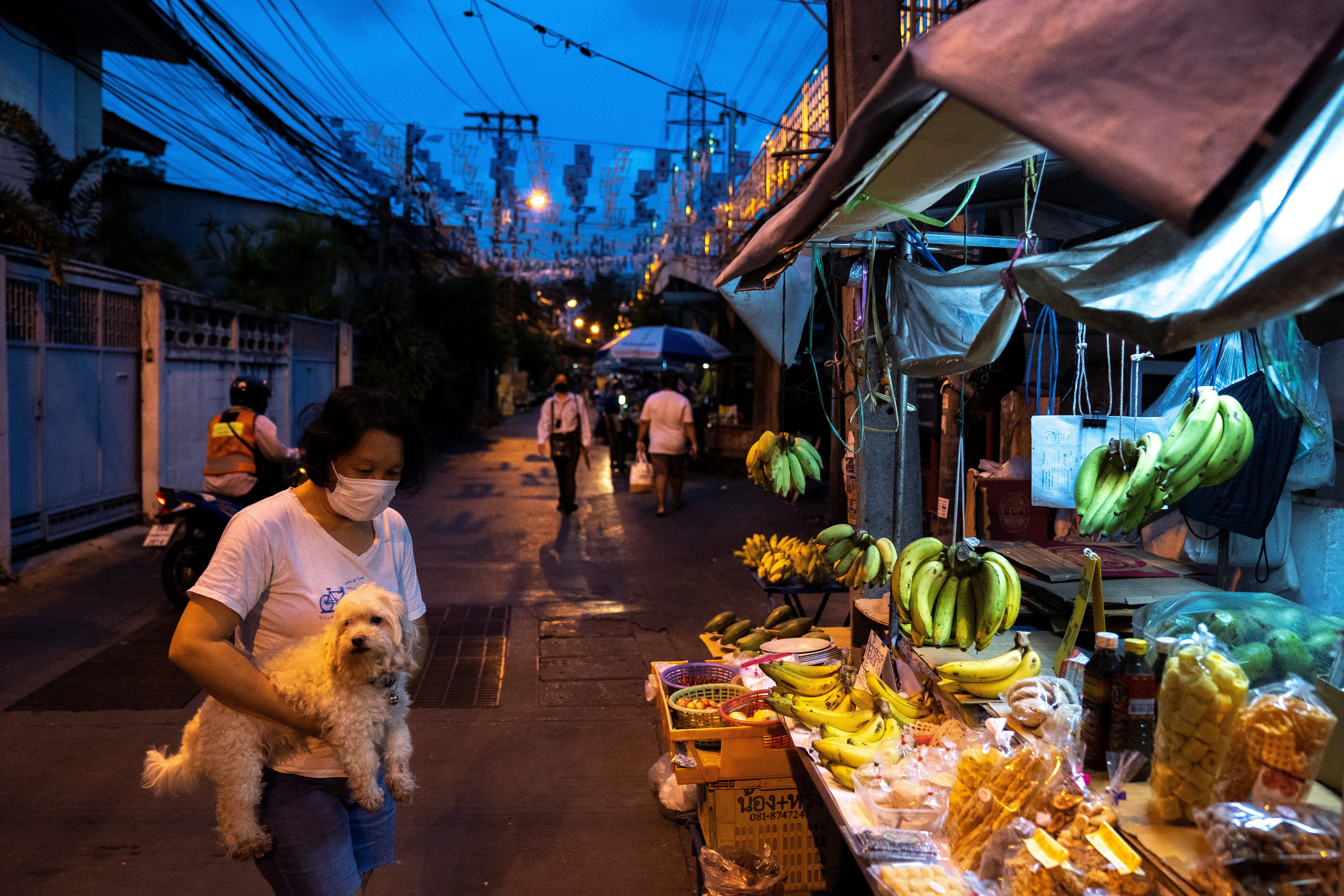 A woman wearing a face mask holds her dog as she shops fruits during the outbreak of the coronavirus disease in Bangkok April 17, 2020. u00e2u20acu201d Reuters pic