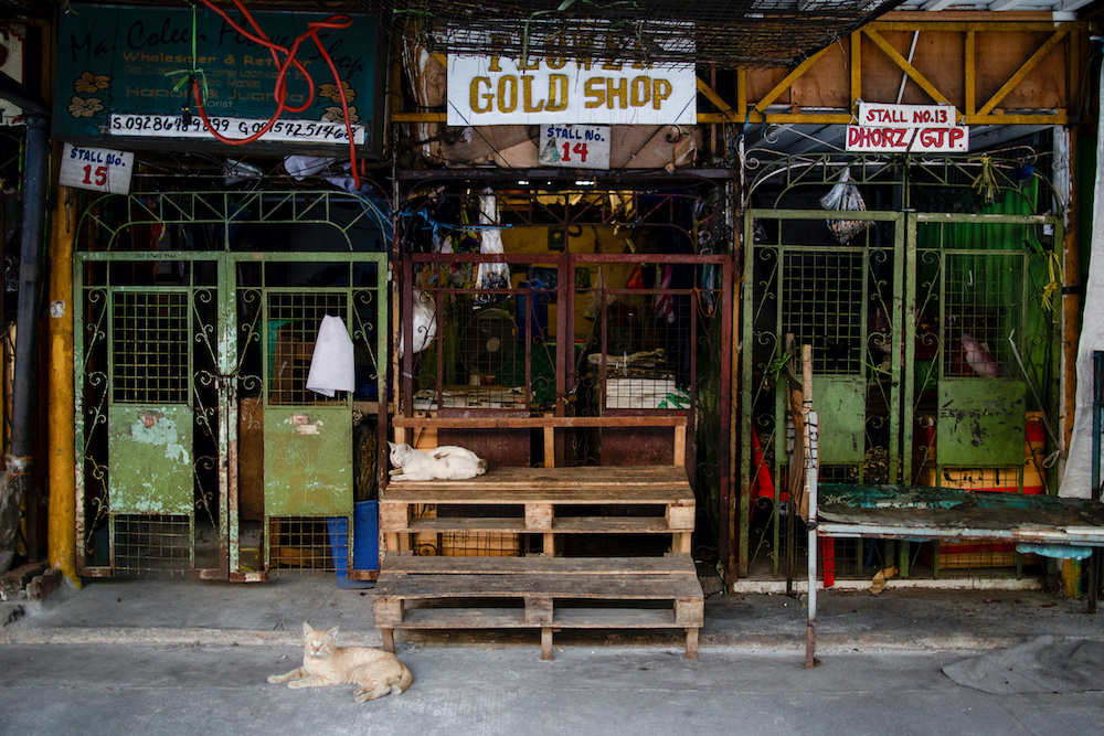 Cats sit outside closed shops in a deserted flower market following the lockdown imposed to contain the coronavirus disease (COVID-19) in Manila April 24, 2020. u00e2u20acu201d Reuters pic