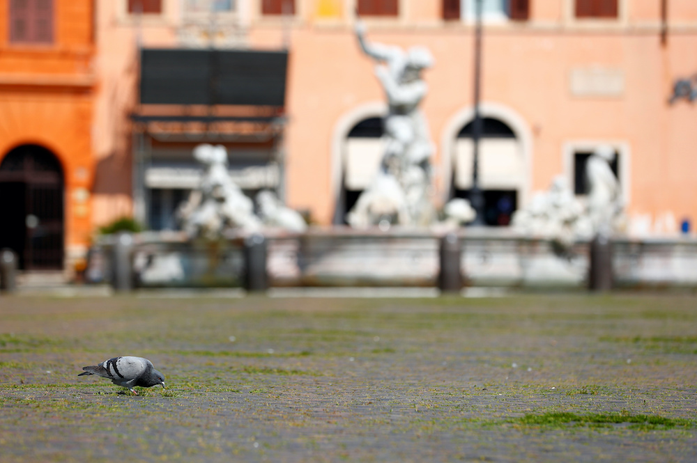 A pigeon is seen as grass grows on Rome's popular Piazza Navona square after a huge drop in the number of visitors due to a strict lockdown trying to stop the spread of coronavirus disease (Covid-19) in Rome, Italy, April 9, 2020. — Reuters pic