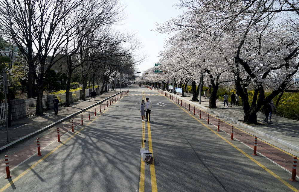 A couple poses for a picture near a cherry blossom street, closed to avoid the spread of the coronavirus disease (Covid-19), in Seoul, South Korea, April 1, 2020. u00e2u20acu201d Reuters pic