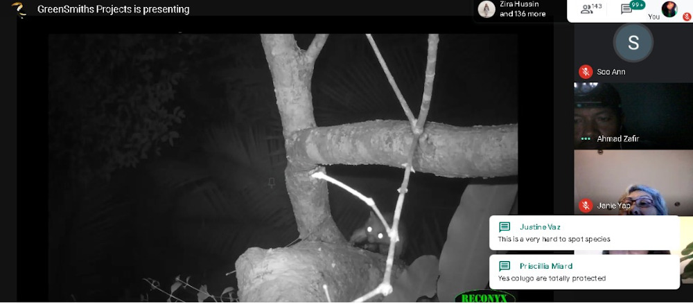 A screenshot of the virtual tour showing a red giant flying squirrel. — Picture courtesy of The Habitat