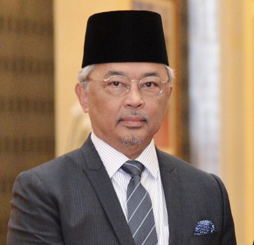 Yang di-Pertuan Agong, Al-Sultan Abdullah Riu00e2u20acu2122ayatuddin Al-Mustafa Billah Shah menzahirkan rasa puas hati apabila rakyat memberi kerjasama baik mematuhi Perintah Kawalan Pergerakan (PKP). u00e2u20acu2022 Foto ihsan Instagram/Istana Negara
