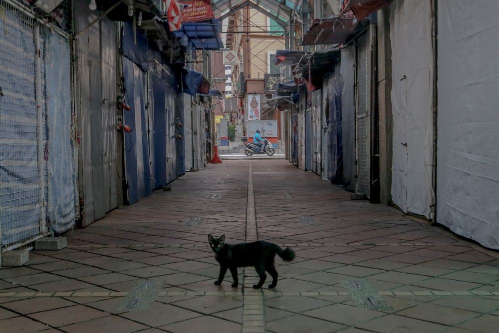 A cat strolls past closed shops lining Jalan Masjid India in Kuala Lumpur April 2, 2020. u00e2u20acu201d Picture by Firdaus Latif