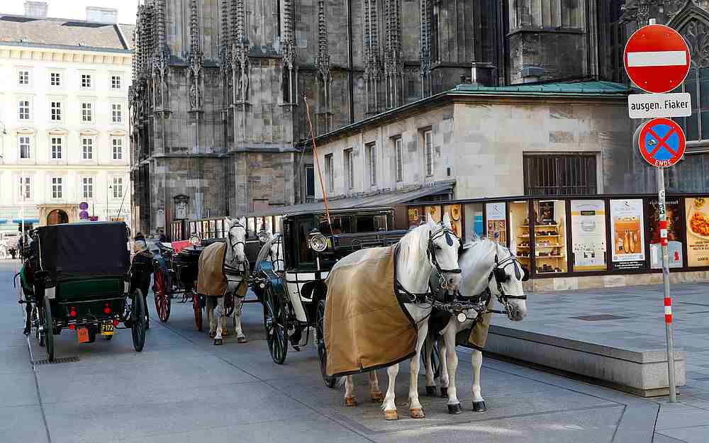 Traditional Fiaker horse carriages wait next to St Stephens cathedral in Vienna, Austria March 13, 2020.  u00e2u20acu201d Reuters pic