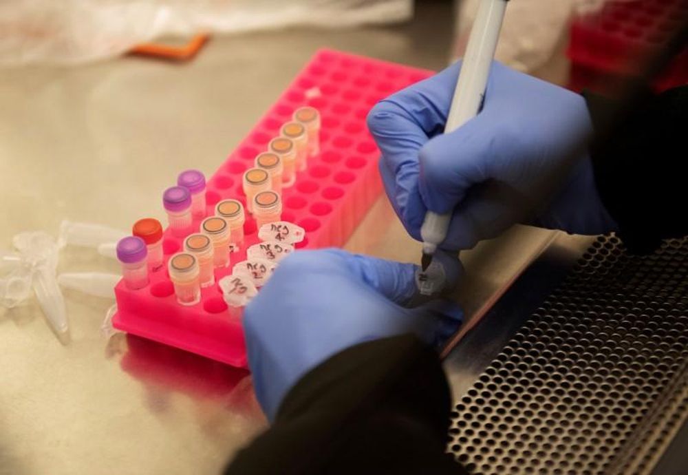 Researchers at the Microbiology Research Facility work with coronavirus samples as a trial begins to see whether malaria treatment hydroxychloroquine can reduce the severity of the coronavirus disease, at the University of Minnesota in Minneapolis, March 