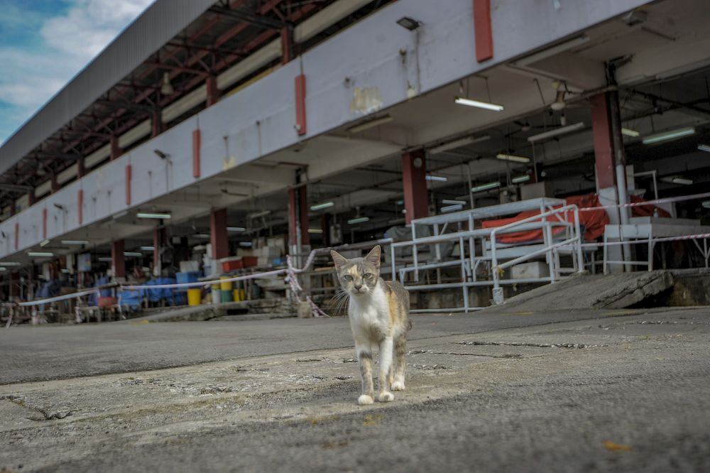 Petaling Jaya City Council officers cordon off the Jalan Othman wet market from the public to make way for sanitisation work April 27, 2020. u00e2u20acu201d Picture by Shafwan Zaidon