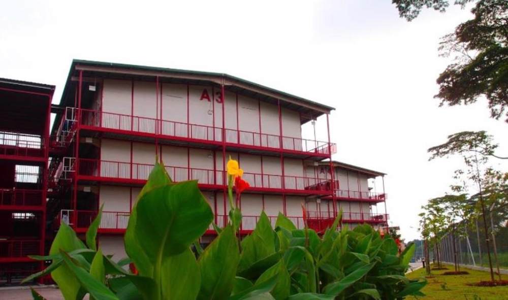 One of the new clusters emerged in Kranji Lodge along Kranji Road. u00e2u20acu2022 Picture via Google Maps/TODAY