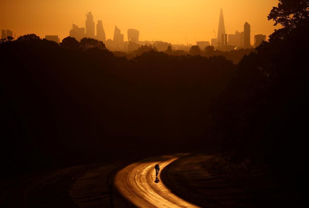 The sun rises behind The Shard and the financial district as a cyclist rides through Richmond Park in London, May 13, 2019. u00e2u20acu201d Reuters pic