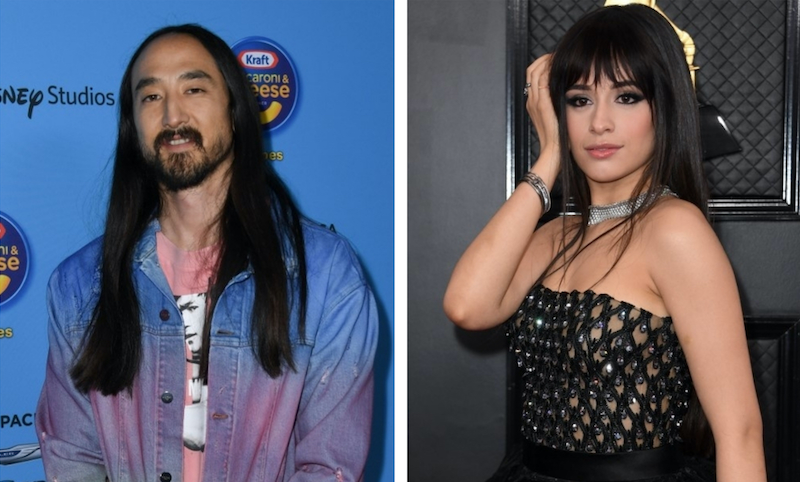 Steve Aoki and Camila Cabello will participate in the livestream series 'Happy at Home: #OneCommunity Live.' u00e2u20acu201d AFP pic