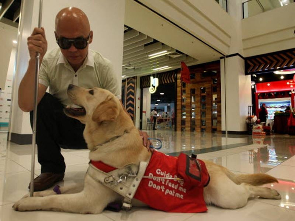 Stevens Chan said that LaShawnu00e2u20acu2122s help allowed him to lead an independent life despite being visually impaired. u00e2u20acu201d Picture from Facebook/stevens.chan.35 and Facebook/DogsForSight