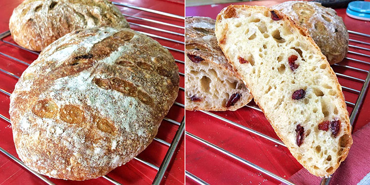 The latest DougHappy creation: cranberry sourdough bread