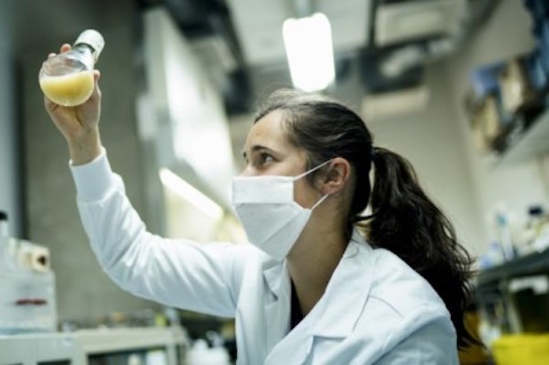 Dorien De Vlieger, doctoral researcher, examines laboratory test tube that she use for her research on llama antibodies, hoping to find a treatment against Covid-19. u00e2u20acu201d AFP-Relaxnews picnn