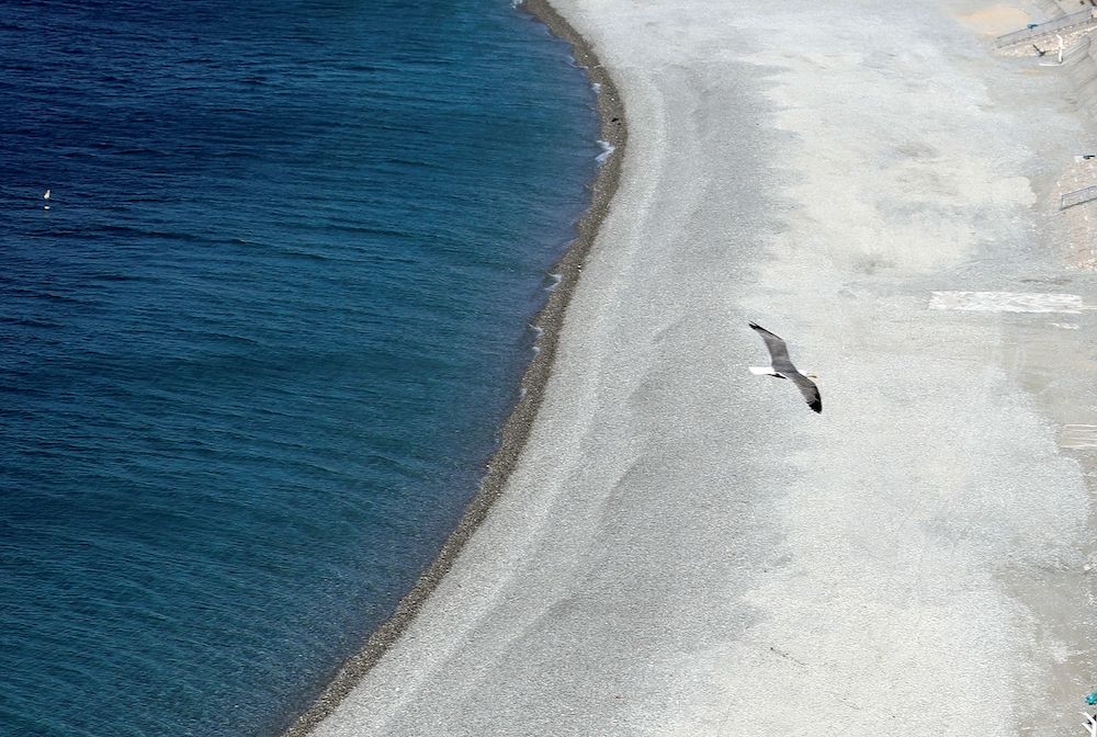 A seagull flies over a deserted beach of the Promenade des Anglais in Nice during the outbreak of the coronavirus disease in France, May 7, 2020. u00e2u20acu201d Reuters pic