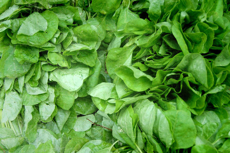 Leafy greens such as spinach and 'kangkung' retain much of their sweetness when sautéed