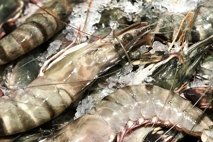 Larger prawns will stay more succulent after cooking than smaller sizes